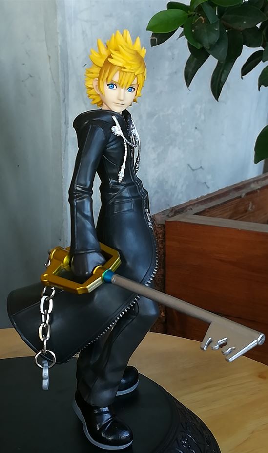 picture of Roxas only